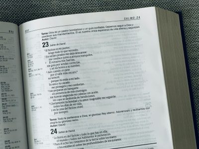 biblia en el Salmo