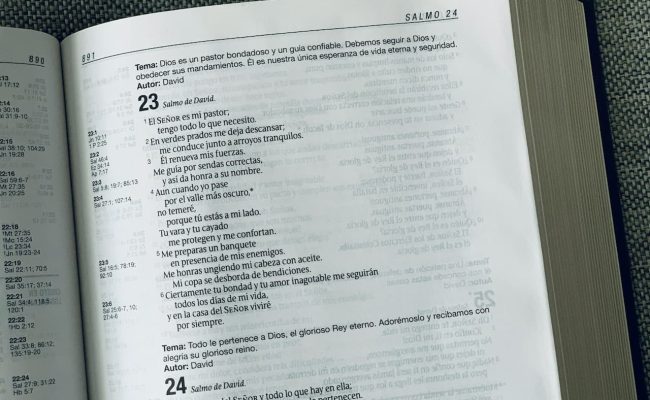 biblia en el Salmo